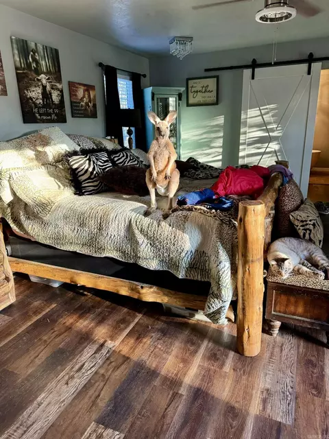 Bedroom - 121 Neva Ln, Pine Ridge, AR 71961 photo 3 of 4