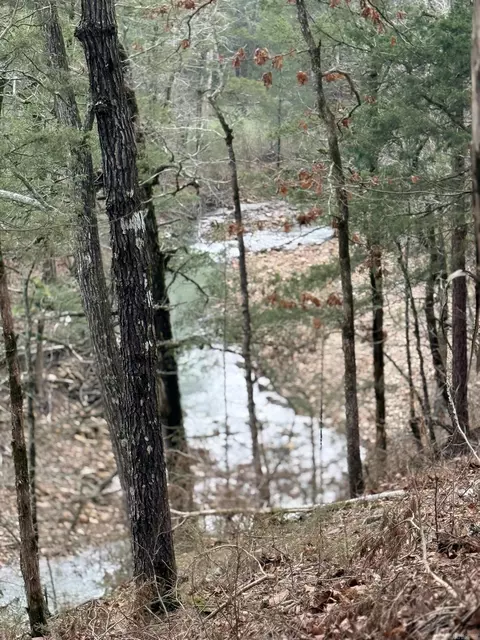 View/Area - 121 Neva Ln, Pine Ridge, AR 71961 photo 7 of 7