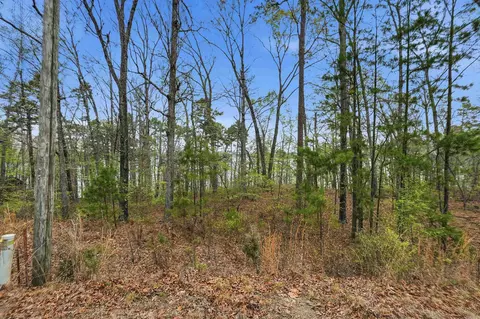 120 Lakefront Rd, Quitman, AR 72131 photo 21