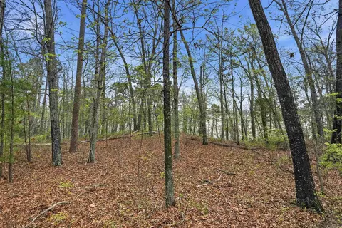 120 Lakefront Rd, Quitman, AR 72131 photo 22
