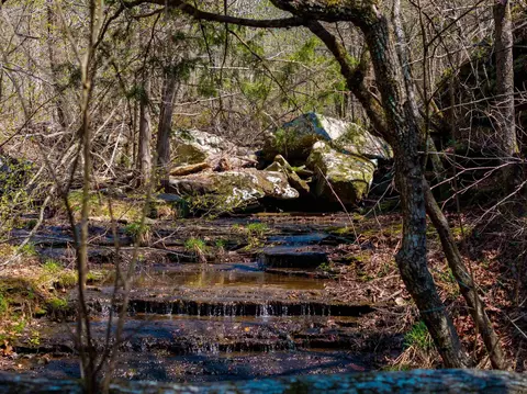 Other - 7473 Meadow Creek Rd, Fox, AR 72051 photo 11 of 13