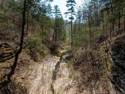 View/Area - 7473 Meadow Creek Rd, Fox, AR 72051 photo 4 of 7