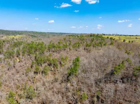 Other - 7473 Meadow Creek Rd, Fox, AR 72051 photo 13 of 13
