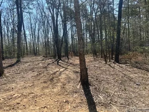 114 Coyote Canyon Rd, Shirley, AR 72153