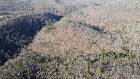000 Schnauzer Ln, Harriet, AR 72639 photo 3