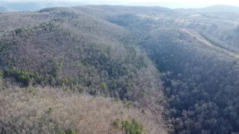 000 Schnauzer Ln, Harriet, AR 72639 photo 24