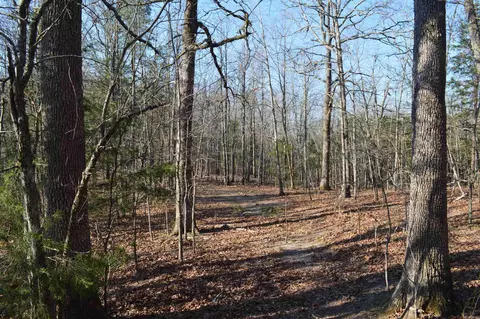 000 Schnauzer Ln, Harriet, AR 72639 photo 9