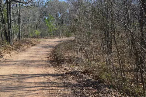000 Schnauzer Ln, Harriet, AR 72639 photo 6