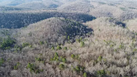 000 Schnauzer Ln, Harriet, AR 72639 photo 5