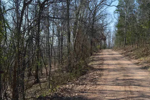 000 Schnauzer Ln, Harriet, AR 72639 photo 7
