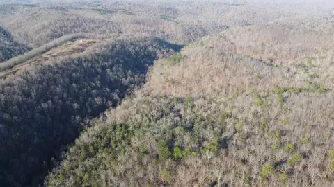 000 Schnauzer Ln, Harriet, AR 72639 photo 23