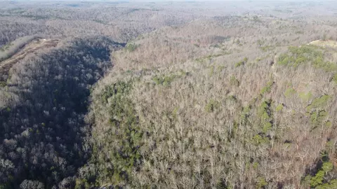 000 Schnauzer Ln, Harriet, AR 72639