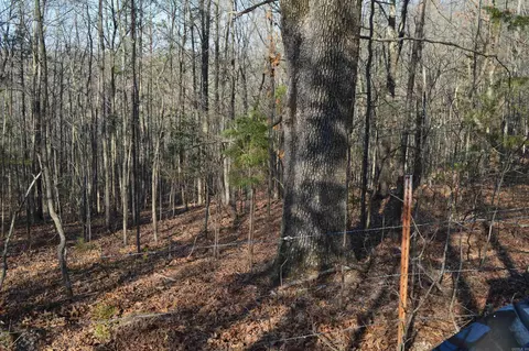000 Schnauzer Ln, Harriet, AR 72639 photo 15