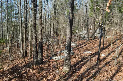 000 Schnauzer Ln, Harriet, AR 72639 photo 17