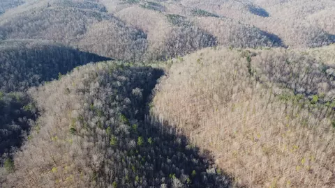 000 Schnauzer Ln, Harriet, AR 72639 photo 2