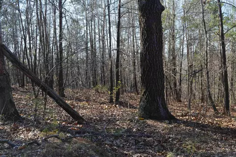 000 Schnauzer Ln, Harriet, AR 72639 photo 12