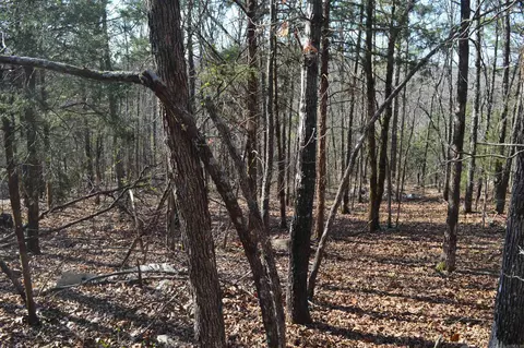 000 Schnauzer Ln, Harriet, AR 72639 photo 20