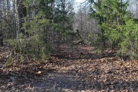 000 Schnauzer Ln, Harriet, AR 72639 photo 8