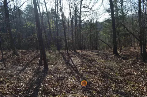 000 Schnauzer Ln, Harriet, AR 72639 photo 10