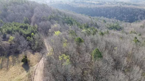 000 Schnauzer Ln, Harriet, AR 72639 photo 4