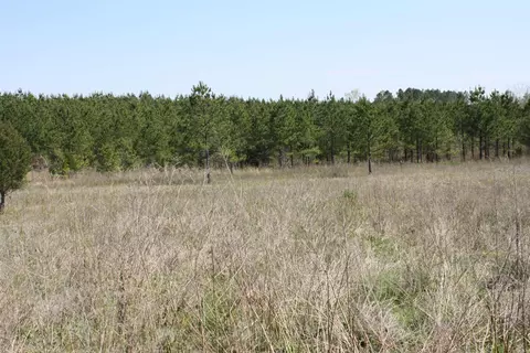 10620 Gunter Loop, Benton, AR 72019 photo 45
