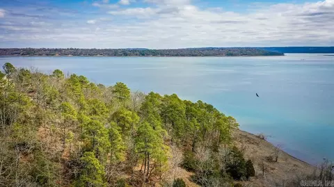 00 Millers Pt, Quitman, AR 72131 photo 17