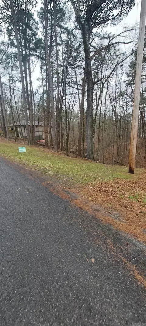 337 Arlington Dr, Hot Springs Village, AR 71913