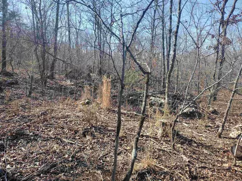 0 Harness Rd, Mountain View, AR 72560 photo 18