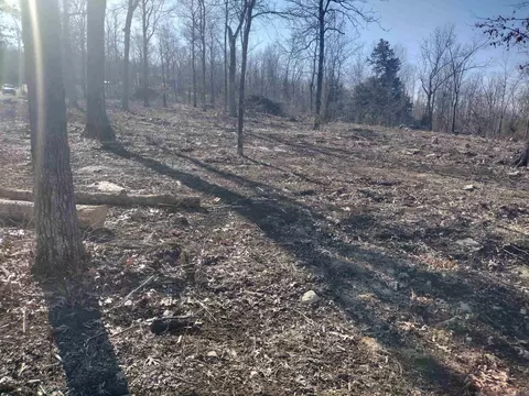 0 Harness Rd, Mountain View, AR 72560 photo 11