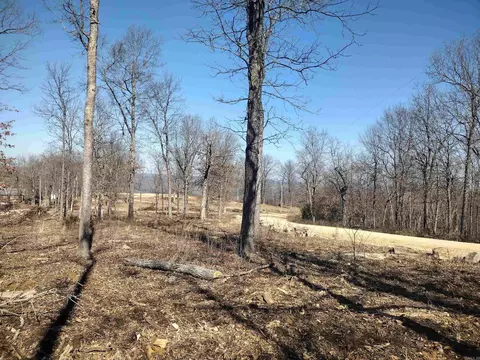 0 Harness Rd, Mountain View, AR 72560 photo 22