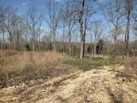 0 Harness Rd, Mountain View, AR 72560 photo 2