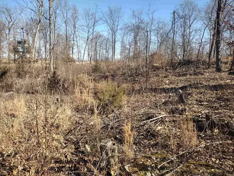 0 Harness Rd, Mountain View, AR 72560 photo 15