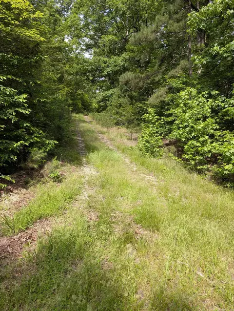 tbd Pedante Ln, Hot Springs Village, AR 71909
