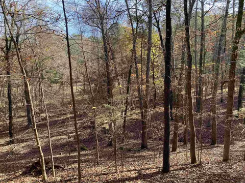 Exterior - 46 Peninsula Dr # B, Mount Ida, AR 71957 photo 11 of 13