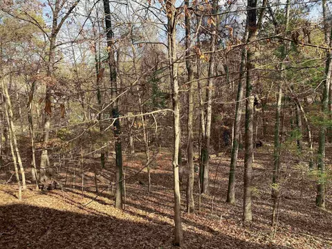 Exterior - 46 Peninsula Dr # B, Mount Ida, AR 71957 photo 12 of 13