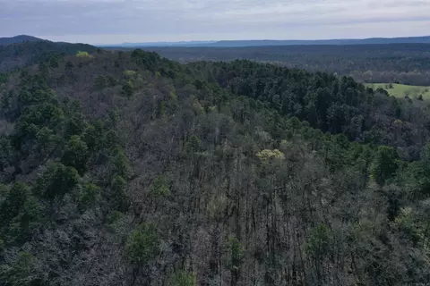 0000 Old Dallas Rd, Norman, AR 71960 photo 9