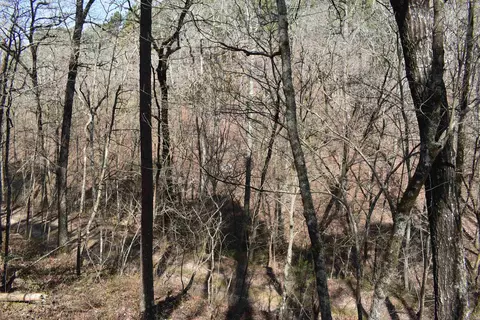 0000 Old Dallas Rd, Norman, AR 71960 photo 24