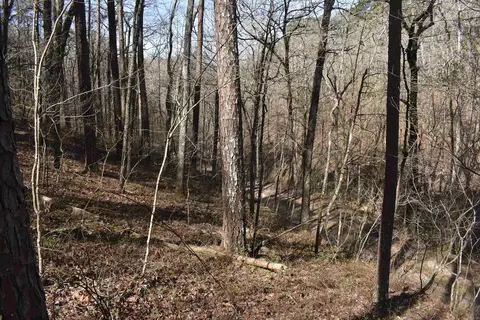 0000 Old Dallas Rd, Norman, AR 71960 photo 25