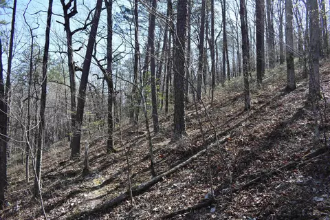 0000 Old Dallas Rd, Norman, AR 71960 photo 35