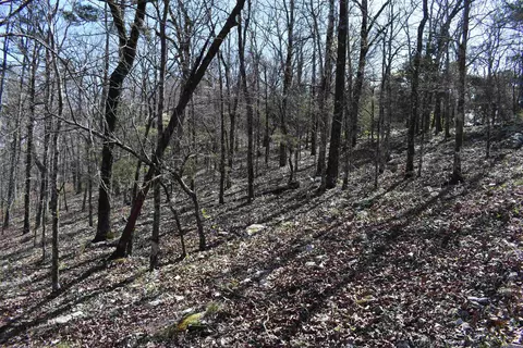 0000 Old Dallas Rd, Norman, AR 71960 photo 33