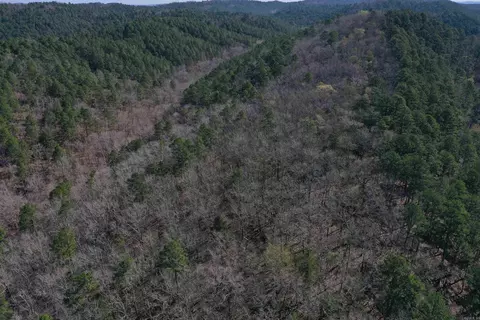 0000 Old Dallas Rd, Norman, AR 71960 photo 5