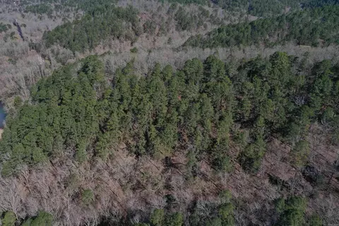 0000 Old Dallas Rd, Norman, AR 71960 photo 13
