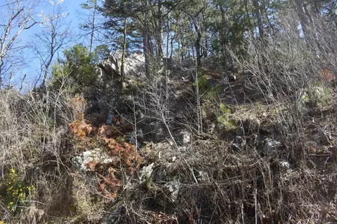 0000 Old Dallas Rd, Norman, AR 71960 photo 41