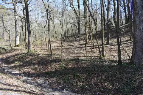 0000 Old Dallas Rd, Norman, AR 71960 photo 43
