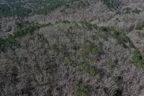 0000 Old Dallas Rd, Norman, AR 71960 photo 10