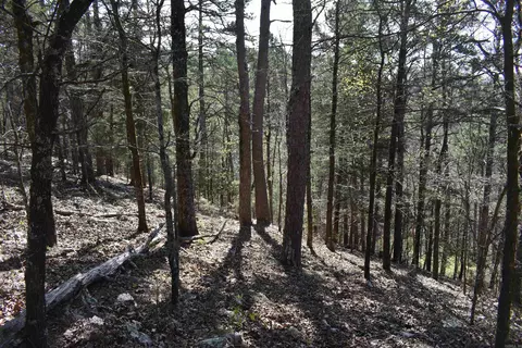 0000 Old Dallas Rd, Norman, AR 71960 photo 30
