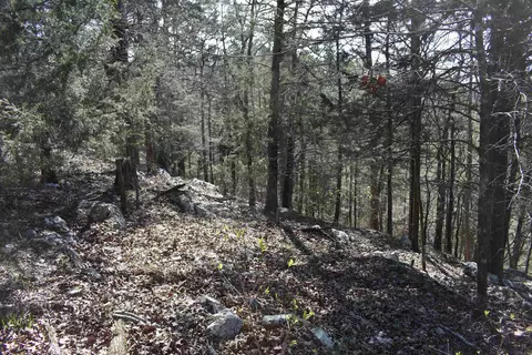 0000 Old Dallas Rd, Norman, AR 71960 photo 29