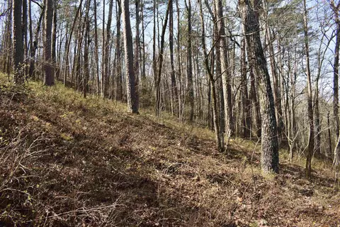 0000 Old Dallas Rd, Norman, AR 71960 photo 26