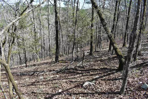 0000 Old Dallas Rd, Norman, AR 71960 photo 34