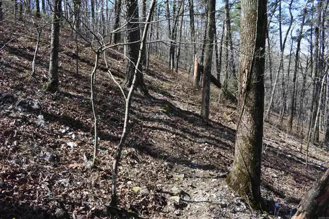 0000 Old Dallas Rd, Norman, AR 71960 photo 38
